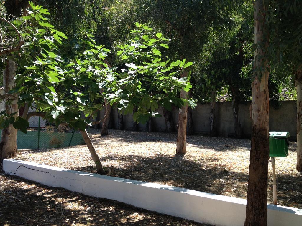 Camping B&B Gioiosa Gioiosa Marea Exterior photo
