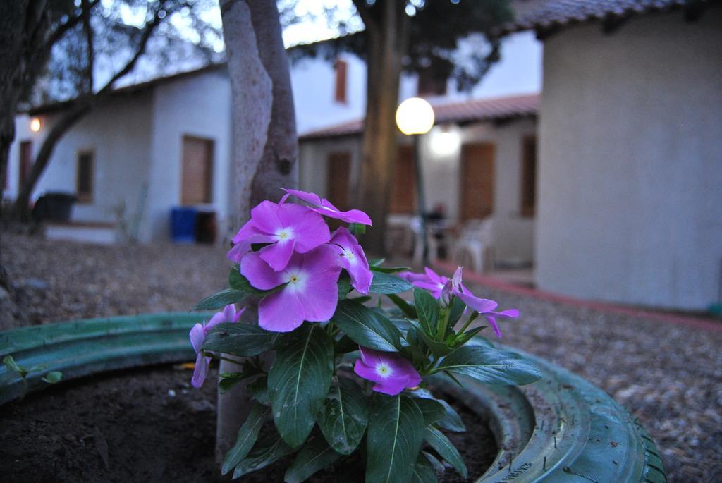 Camping B&B Gioiosa Gioiosa Marea Exterior photo
